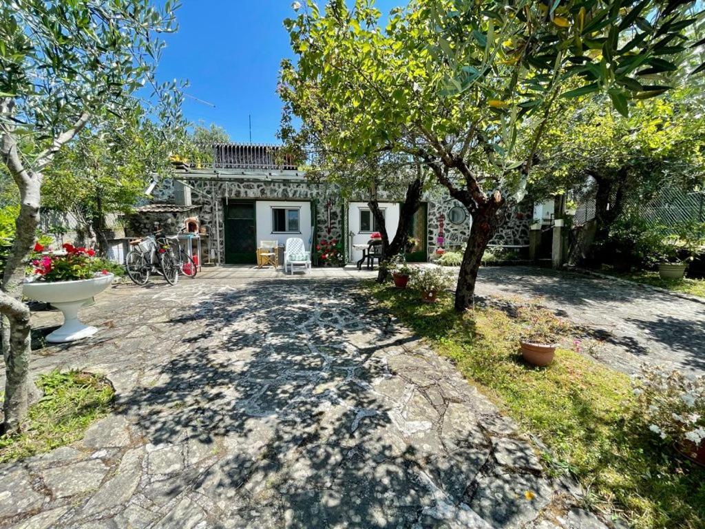 Rosy Apartment - Levanto, 5 Terre Exterior photo