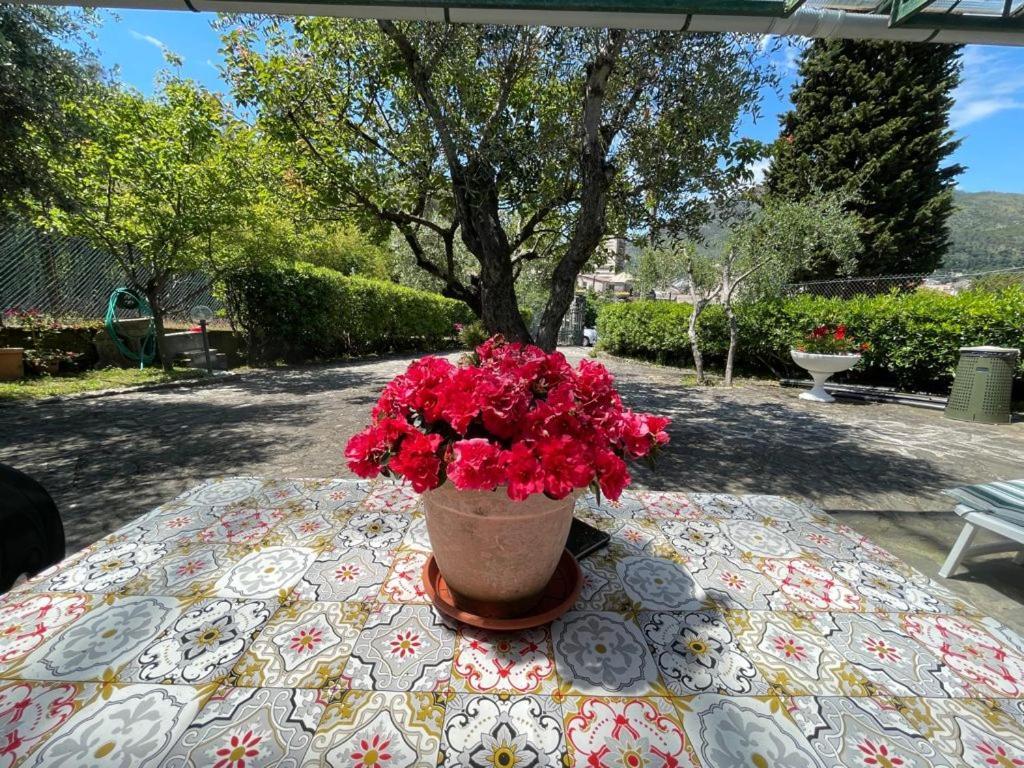Rosy Apartment - Levanto, 5 Terre Exterior photo