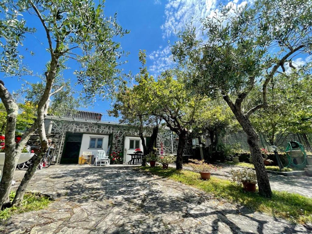 Rosy Apartment - Levanto, 5 Terre Exterior photo